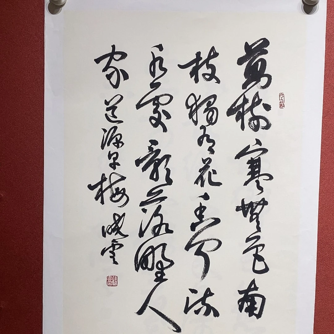 书法万树直播大漏