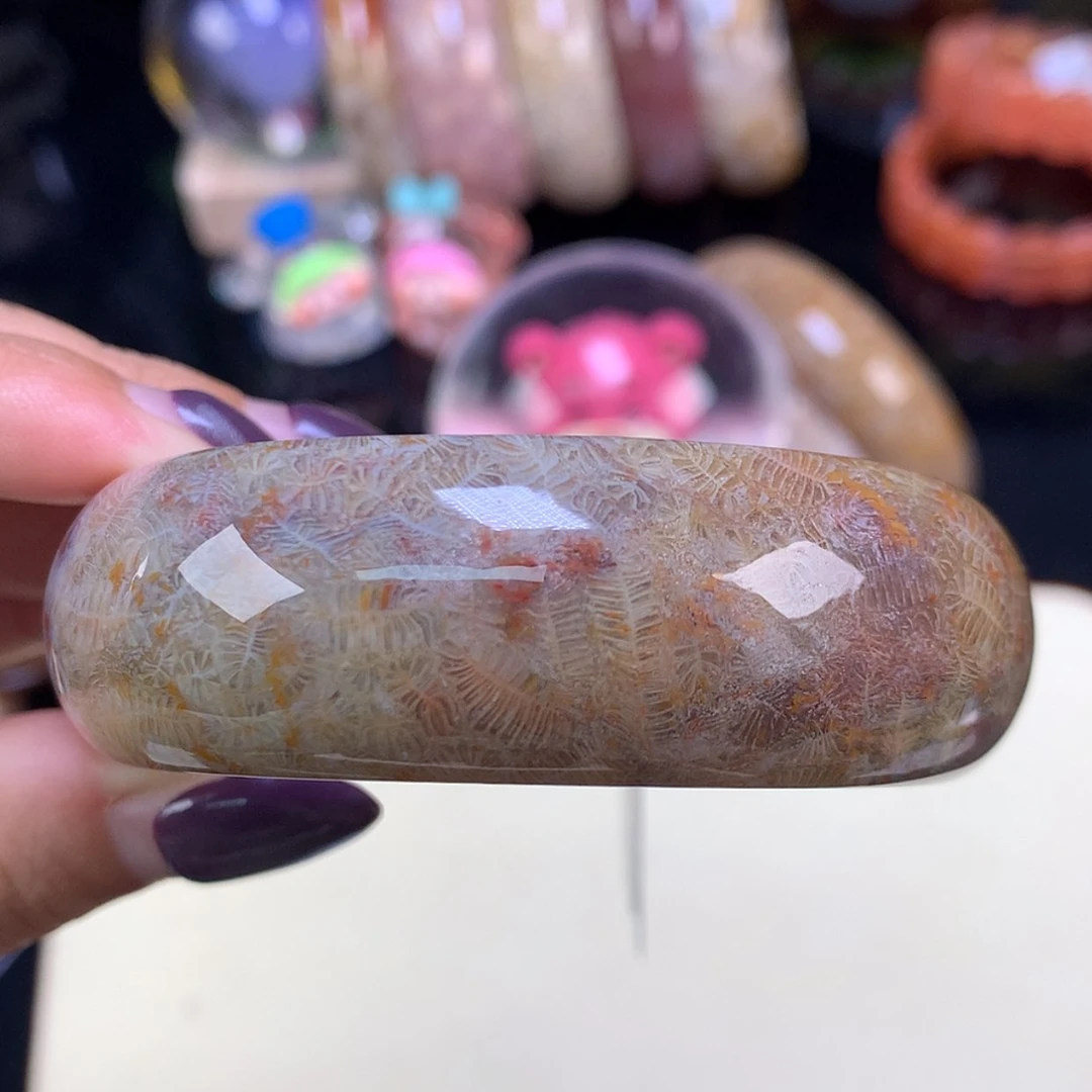 【闪购商品】颈饰未镶嵌硅化珊瑚（珊瑚玉）上新手镯54.6（50号）