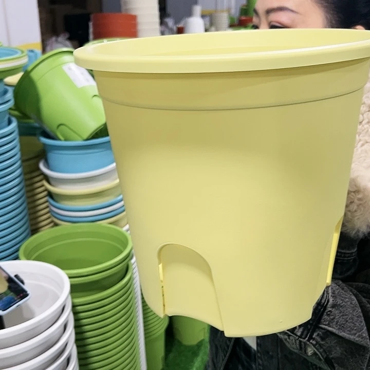正品圆控口30高27黄色12只无托