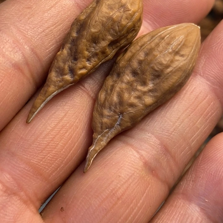 文玩核桃吊坠拿姐工艺203