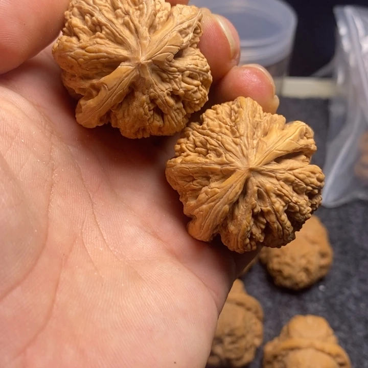 文玩核桃吊坠41大粗筋