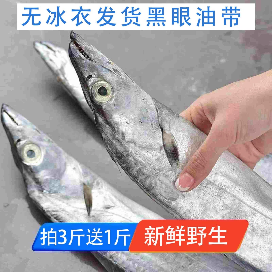 【买3斤送1斤 】【合计9-16条 】【整条黑眼】青岛新鲜海捕野生带鱼