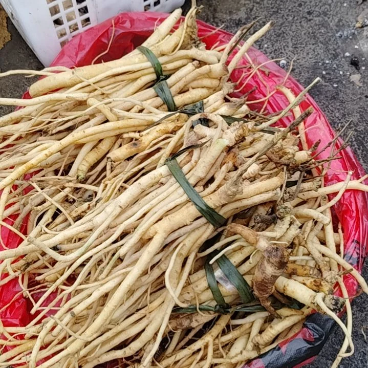 鸿***风青榄贵州高山党参四斤