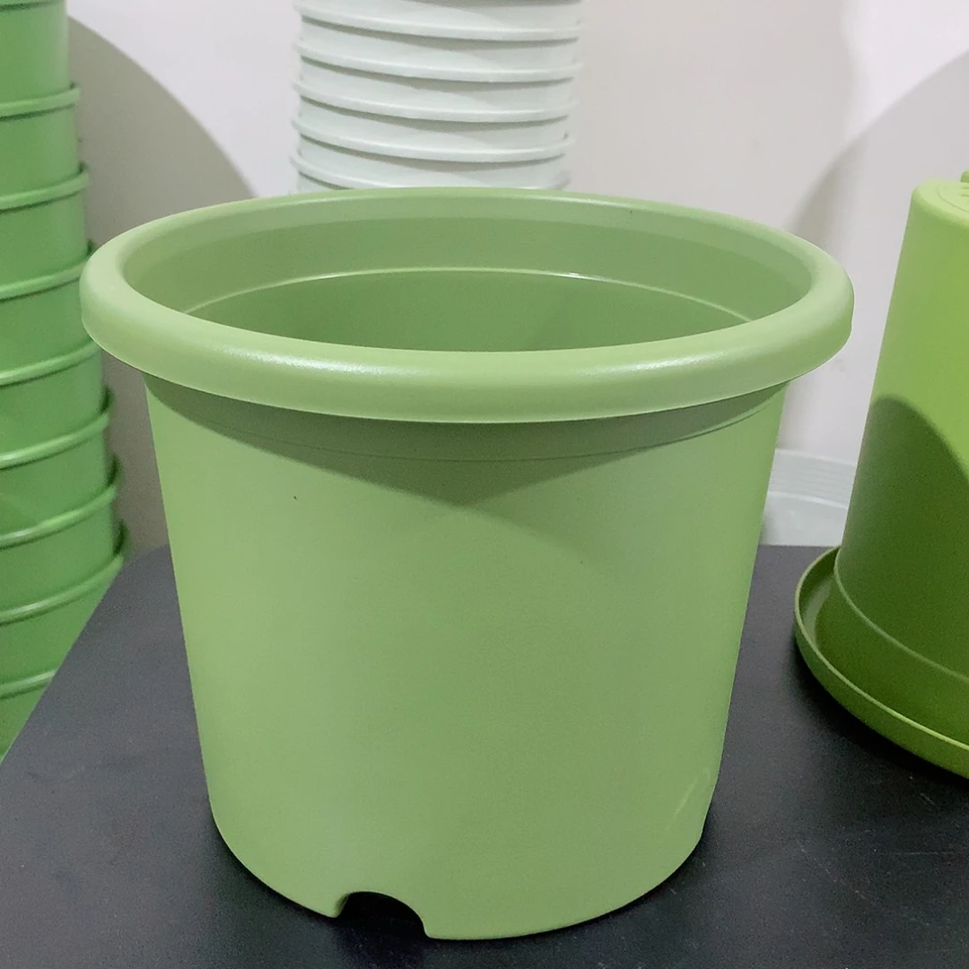 树脂四季口21果绿3个无托新