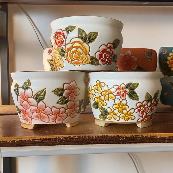 韩式多肉植物花盆