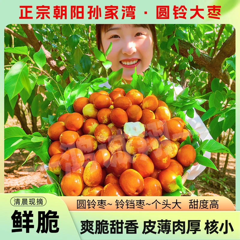 朝阳大枣圆铃铃铛枣金铃圆大铃铛枣甜枣鲜枣红枣正宗新枣脆枣特产