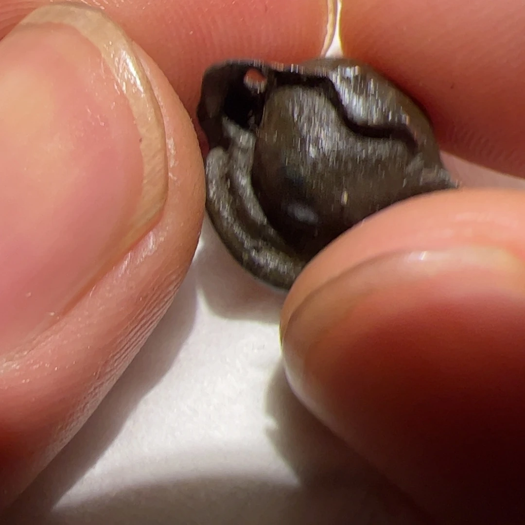 玻璃颈饰你在一起的