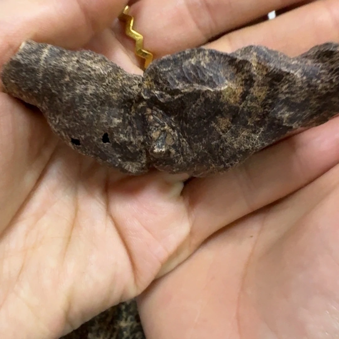 沉香碎屑沉香海南沉香鸡母高油虫漏8.5克