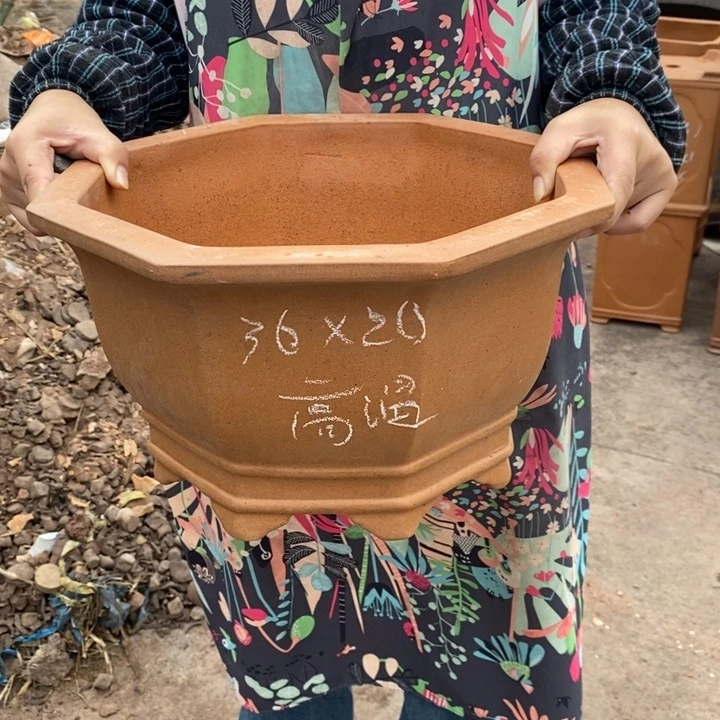 紫砂花盆只顾看手机的日子