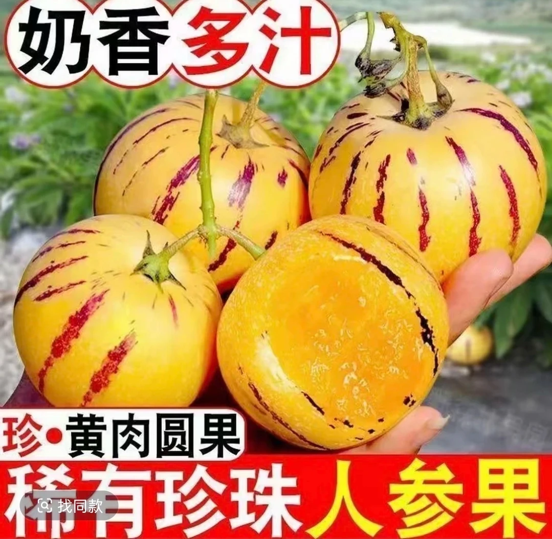 【树上熟】石林人参果奶香清甜黄心汁水充沛新鲜现摘坏果包赔i