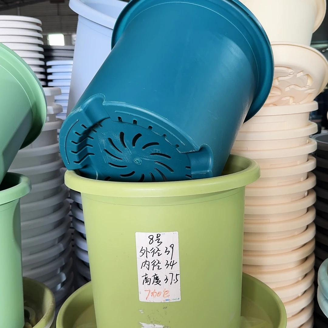 微瑕8#口径40无拖果绿2个