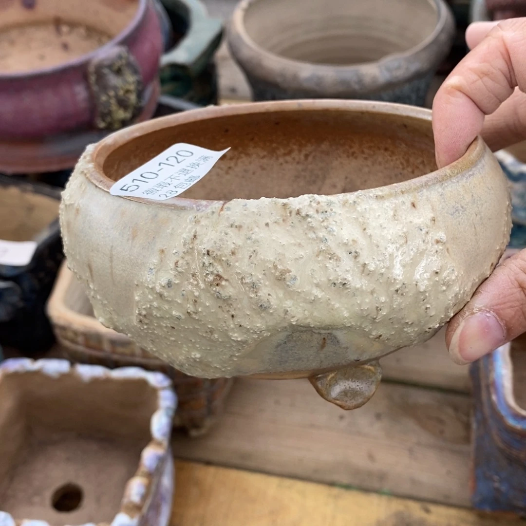 梅*120号多肉盆一个呀