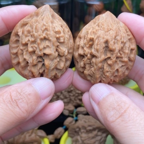 把件文玩核桃布***?大沽石43全品