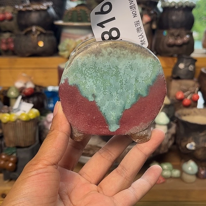 要不是你在哪去找816