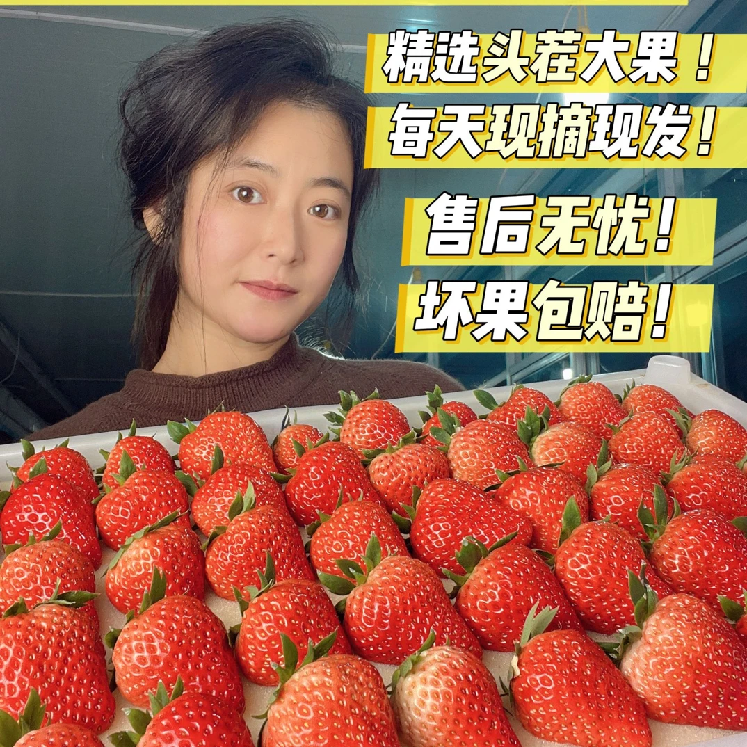 {丹东九九草莓} . 新鲜应季水果 . 每天新鲜采摘发货 . 顺丰包邮！