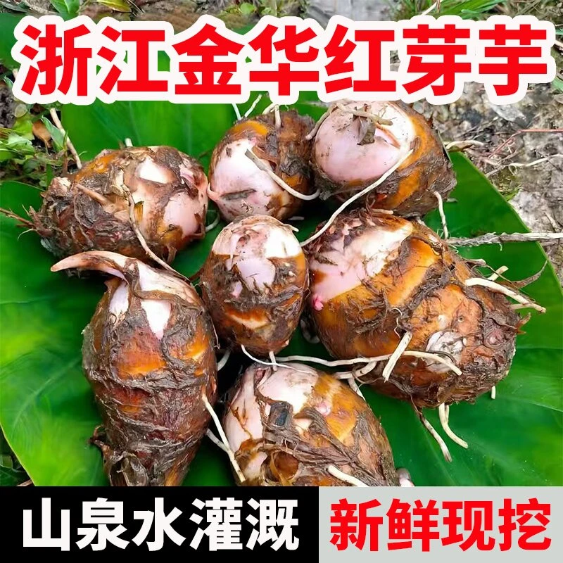 金华红芽芋艿新鲜现挖软糯毛芋头香芋小芋头红芋艿5/3/1斤芋头