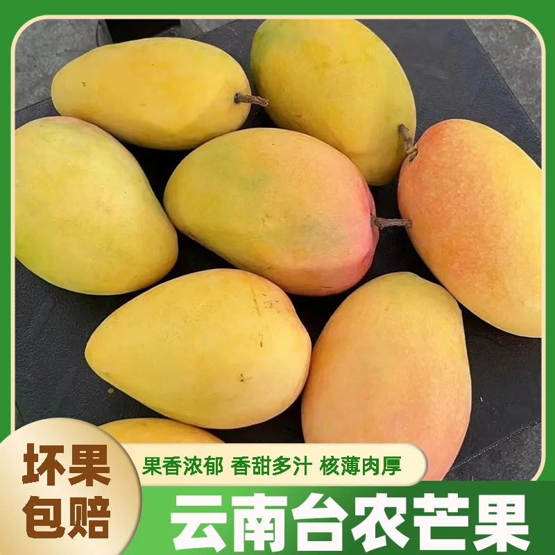 正宗云南大台芒果自然树熟台农芒新鲜热带水果香甜芒果一整箱包邮