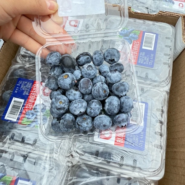 蓝莓 15➕ 12盒装 整件 顺丰包邮 现货现发