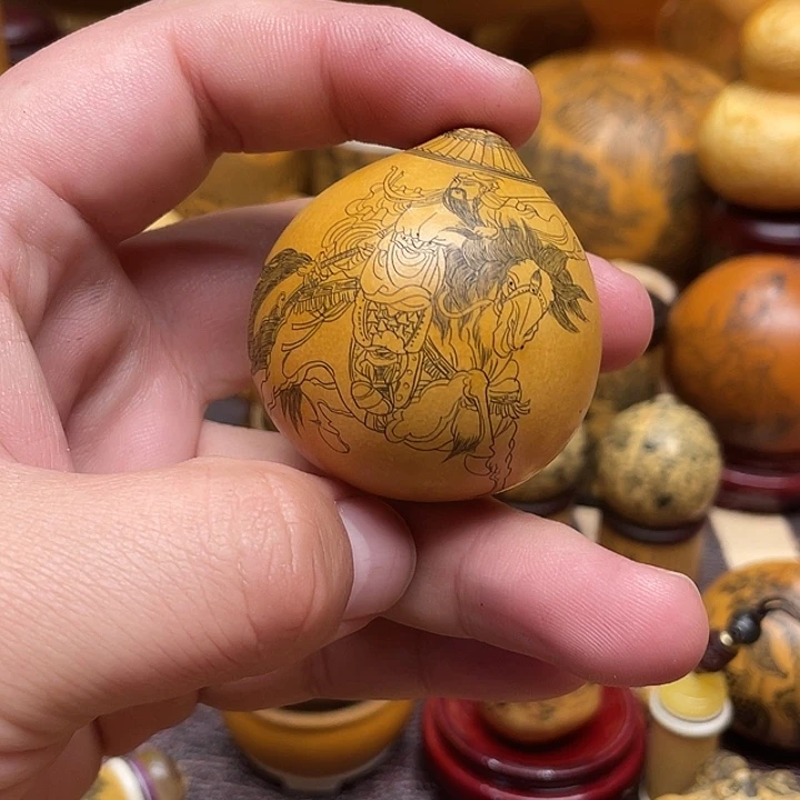 郑***上我是一只小小鸟地域