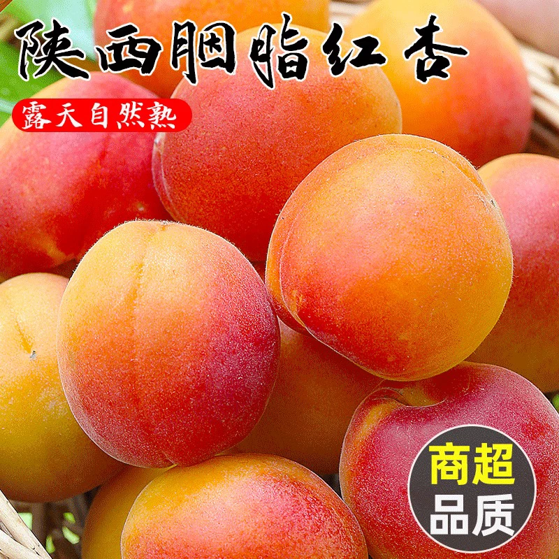 【顺丰/京东】陕西胭脂红杏贵妃红杏丰源红新鲜水果酸甜自然熟红