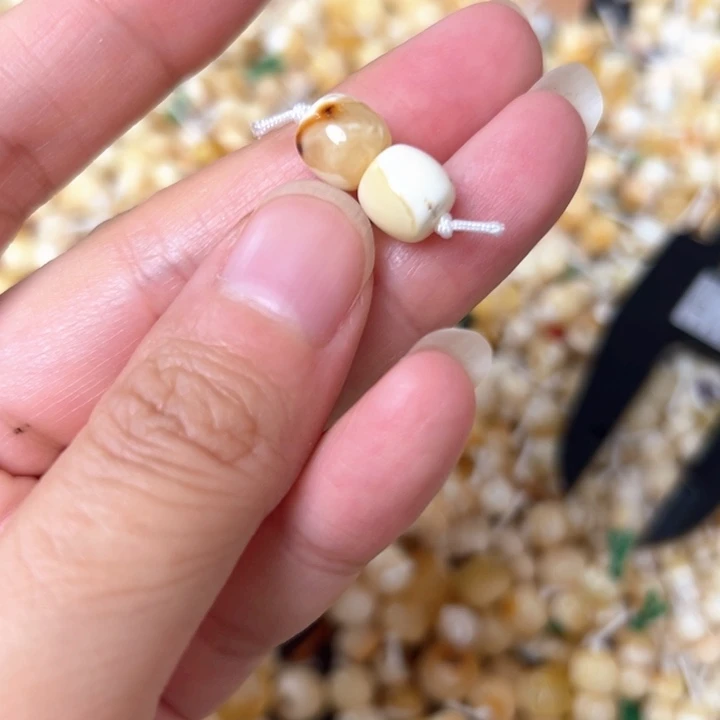 裸石蜜蜡未镶嵌8.1mm一对