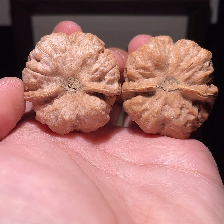 三***皮核桃手串/手链蛤蟆头