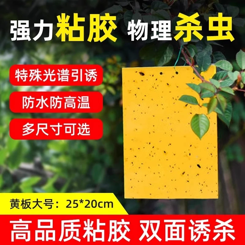 双面粘虫板大棚果树瓜菜园黄板沾小黑飞防虫贴诱虫板