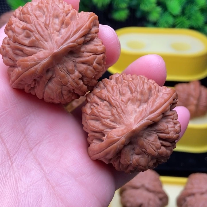 莲花41.5全品11111111