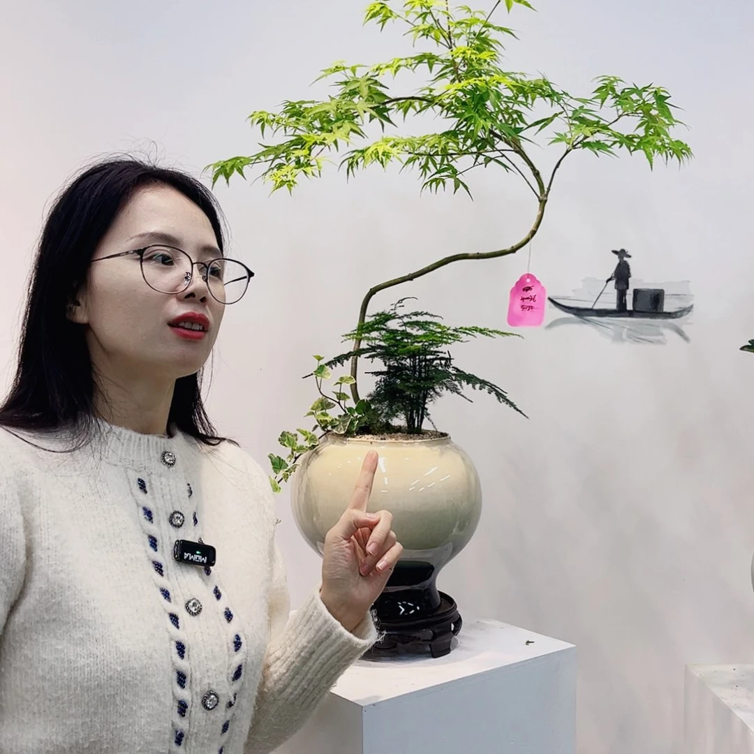 高端绿植一物一拍