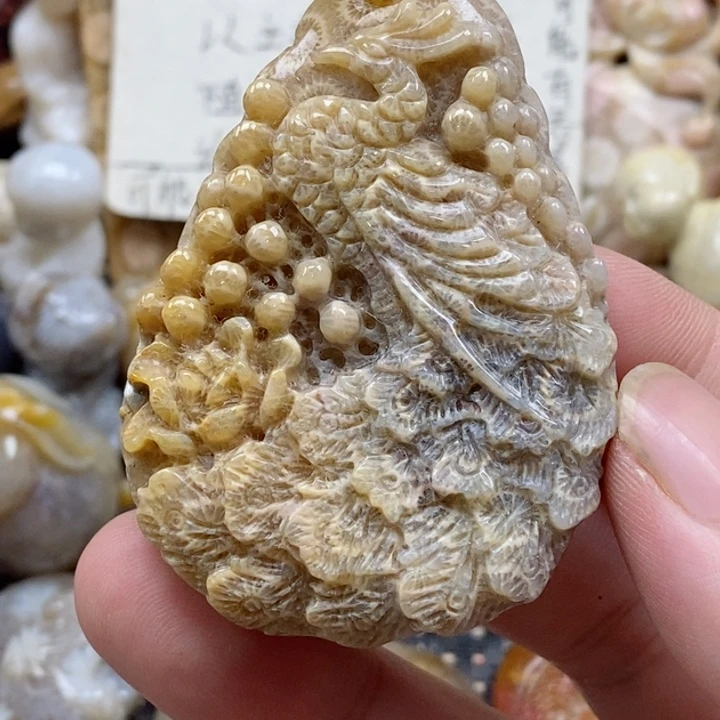 颈饰未镶嵌硅化珊瑚（珊瑚玉）有瑕