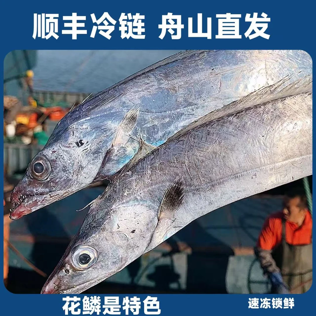 舟山雷达网小眼睛带鱼无冰衣整条发货顺丰舟山直发3.2斤3.5斤可选