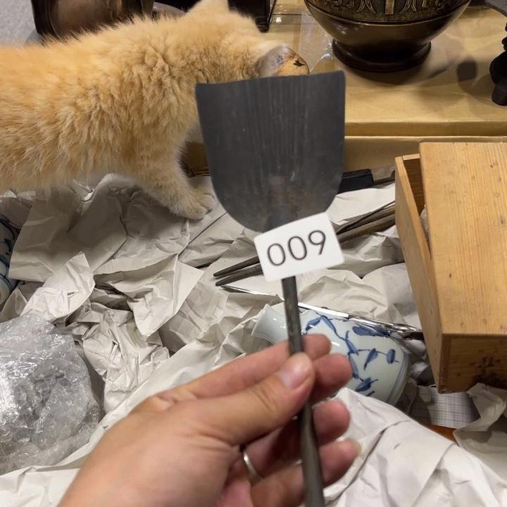 茶宠我们的目标就是成为更优秀