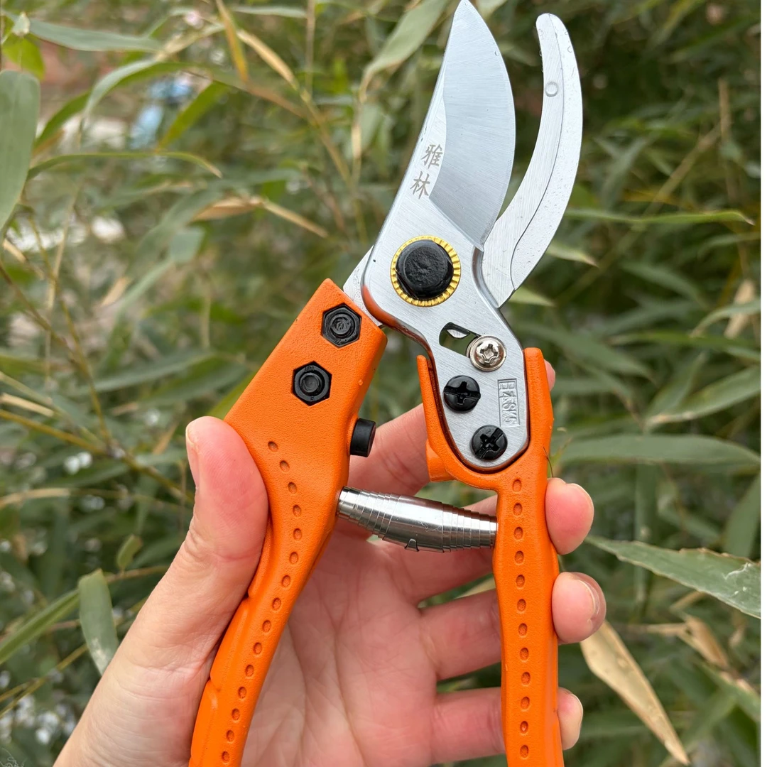 高硬度结实耐用大粗植剪园林剪果树剪