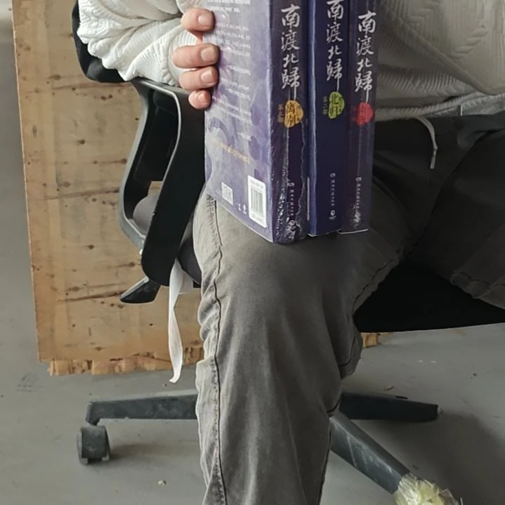 南渡南渡南渡三本一套平装