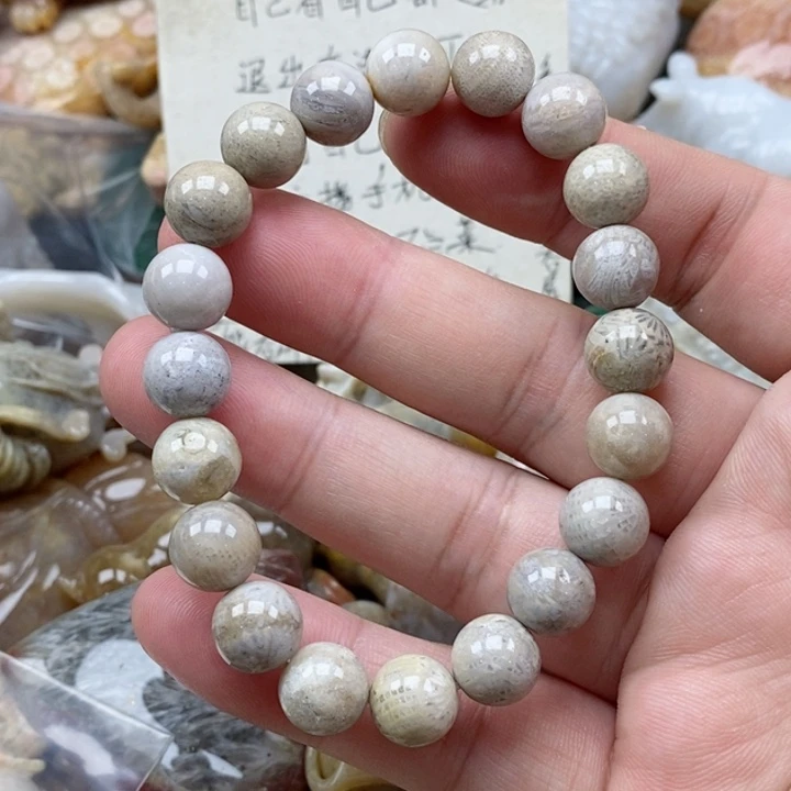 硅化珊瑚（珊瑚玉）未镶嵌颈饰