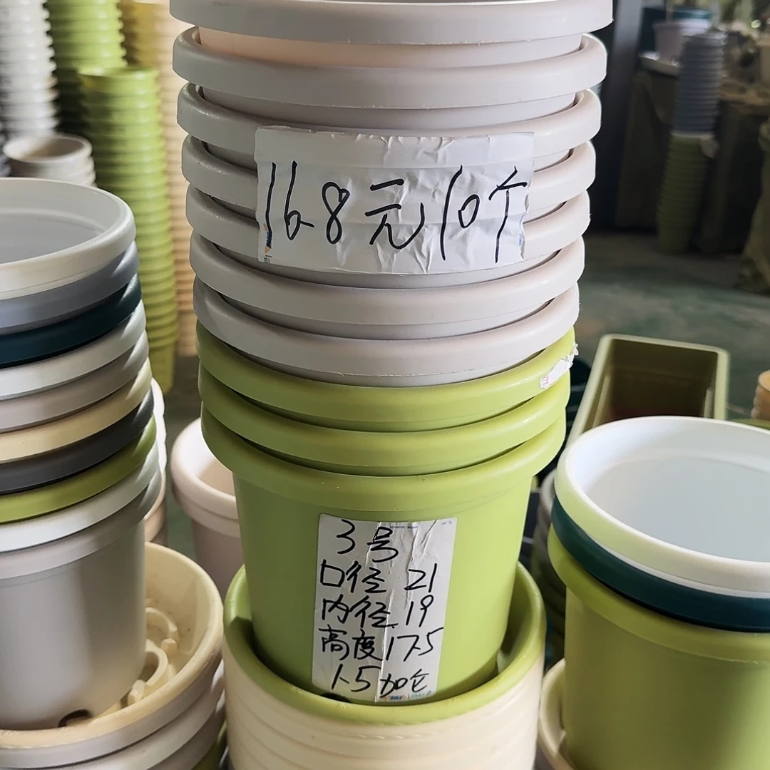 微瑕3#口径21无拖果绿10个