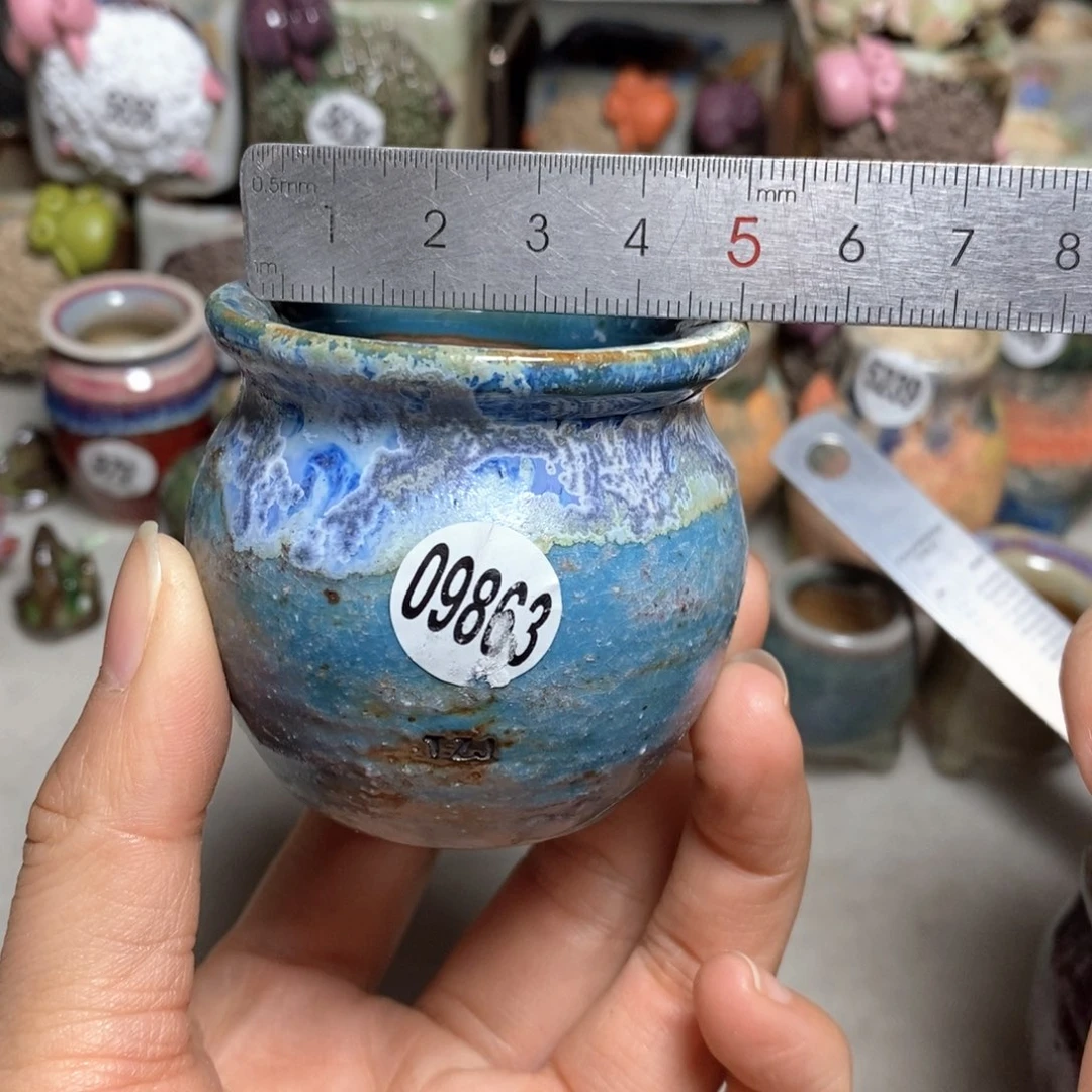 拍5送一个小礼物