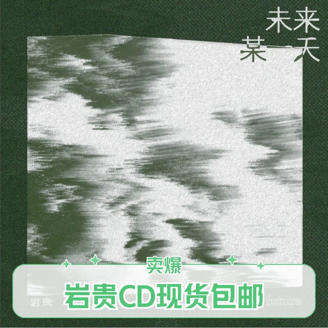 岩贵《未来某一天》，正版CD专辑