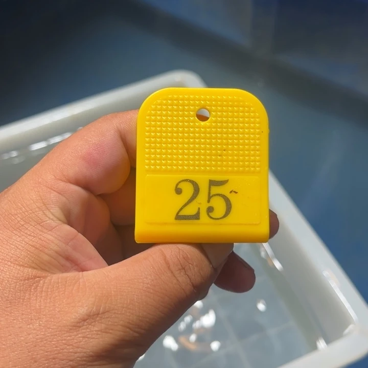 锦鲤淡水养殖基地25