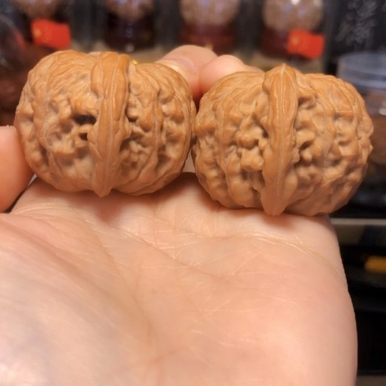 精品：野生小众红豆