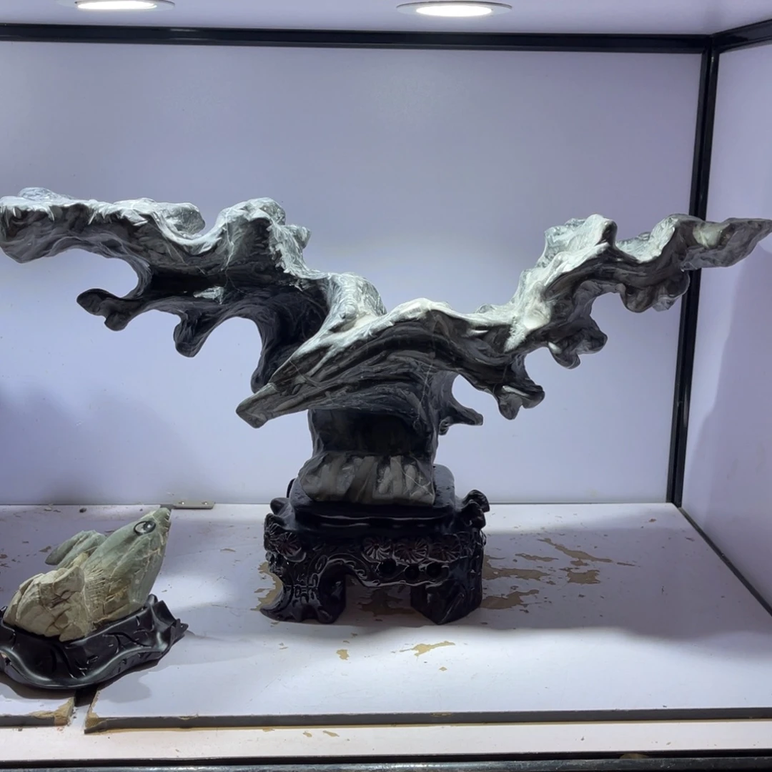 草***飞石材奇石博物馆馆长与小鲜肉合影啦