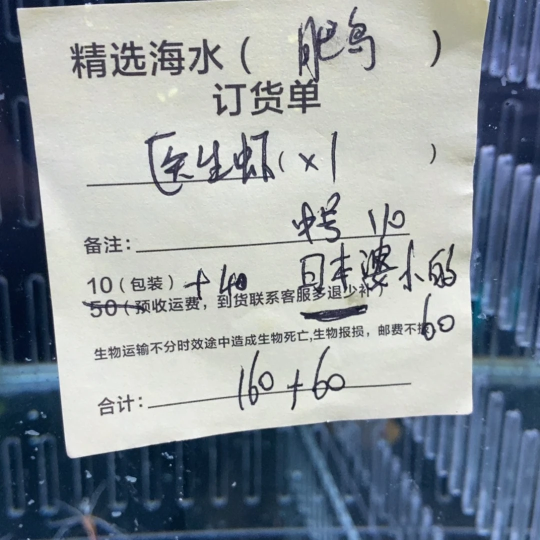 海水鱼医生虾➕日本婆➕包装10
