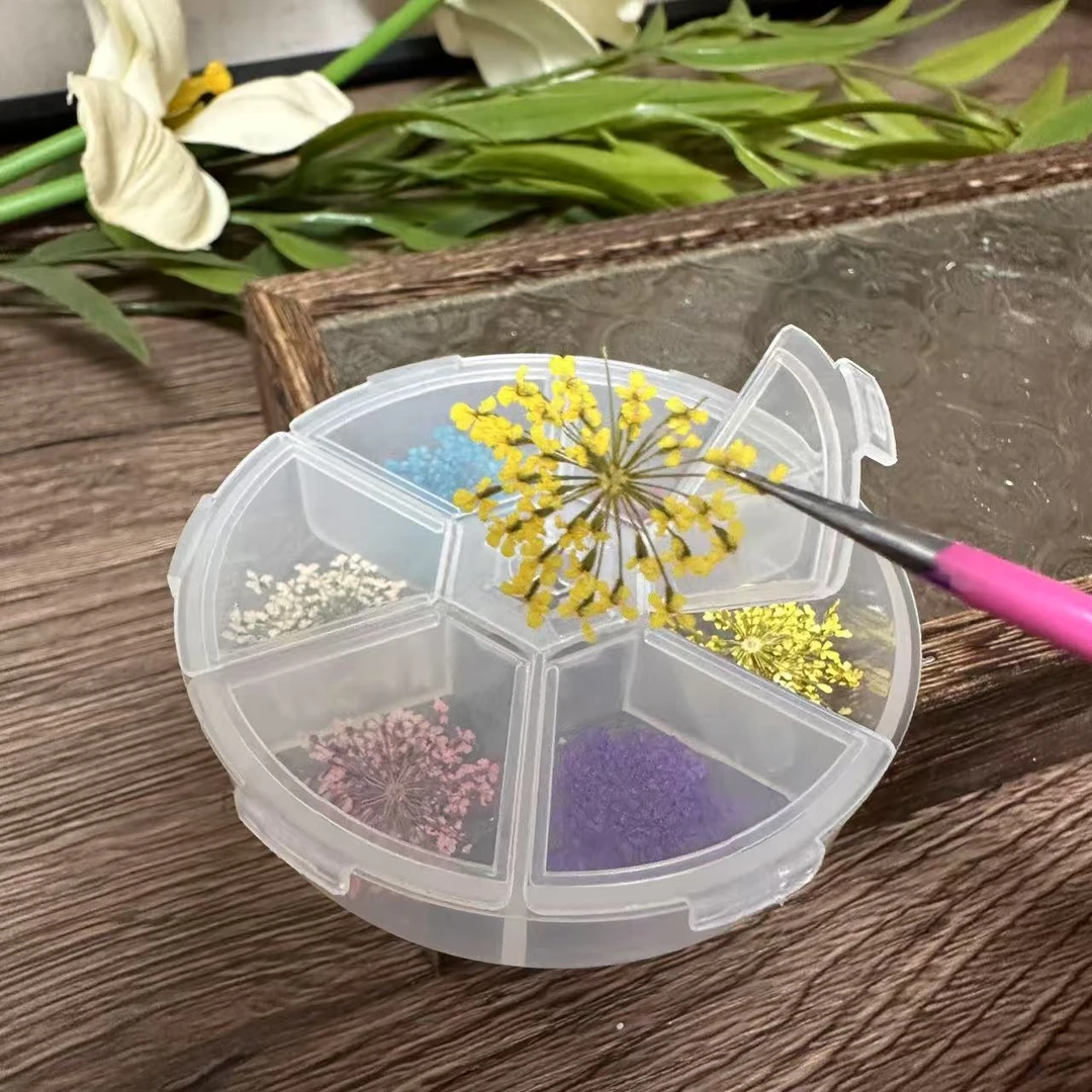 【1盒12朵】春日小杂碎干花美甲饰品工具（带盒子）