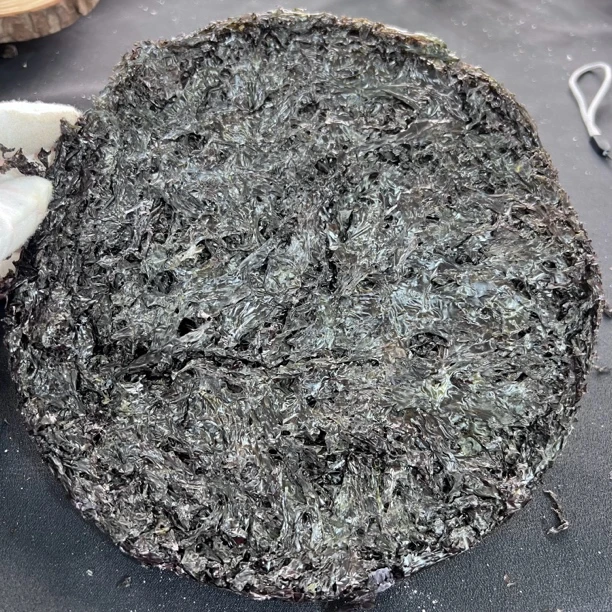 【鸡哥专属】头水紫菜 煮汤炒菜【虾干福利】