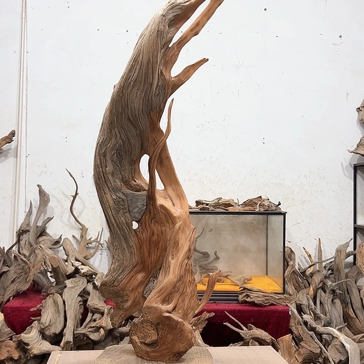 柏木崖*我们的生活是以自己为