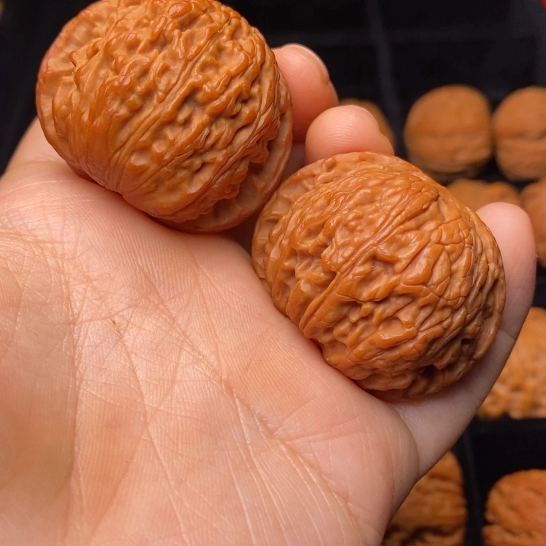 秦岭野生文玩核桃