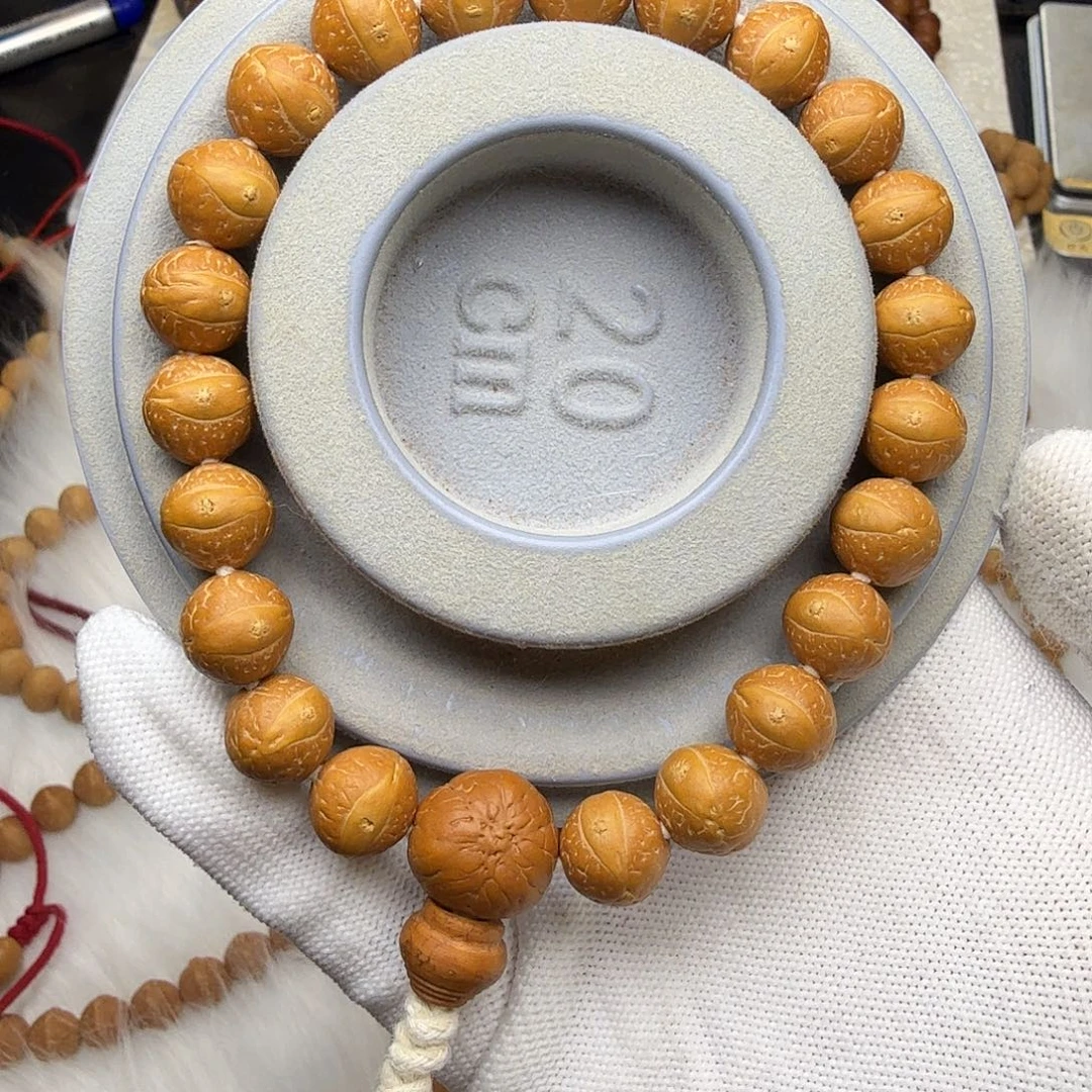 吊坠凤眼菩提11.4-11.7高山树