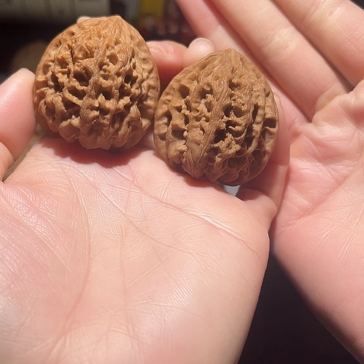 木质类野牛40全品