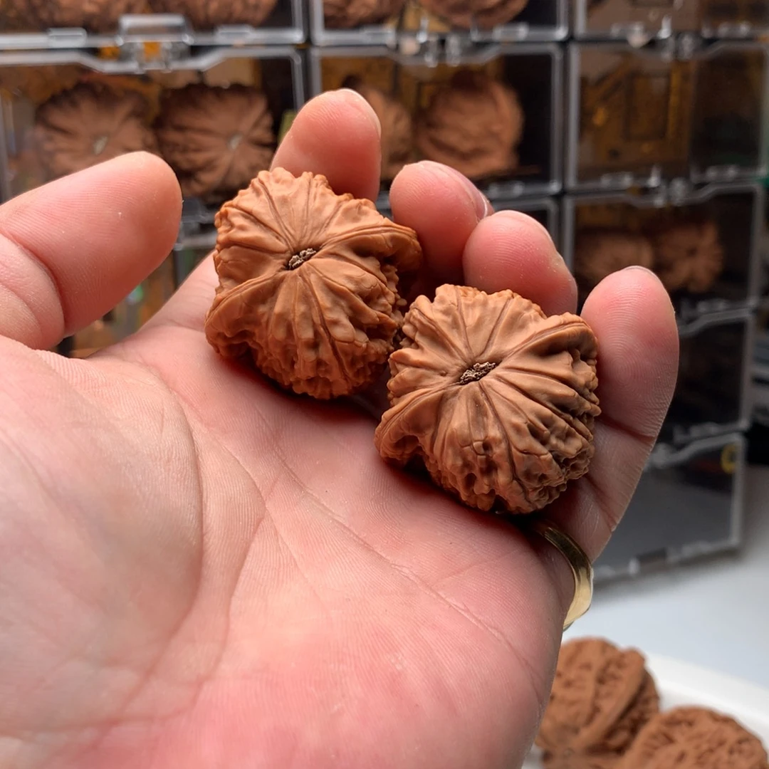 桃核把件小**仔马老四 666888