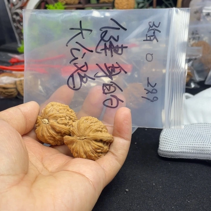 文玩核桃把件健****鸡白狮子